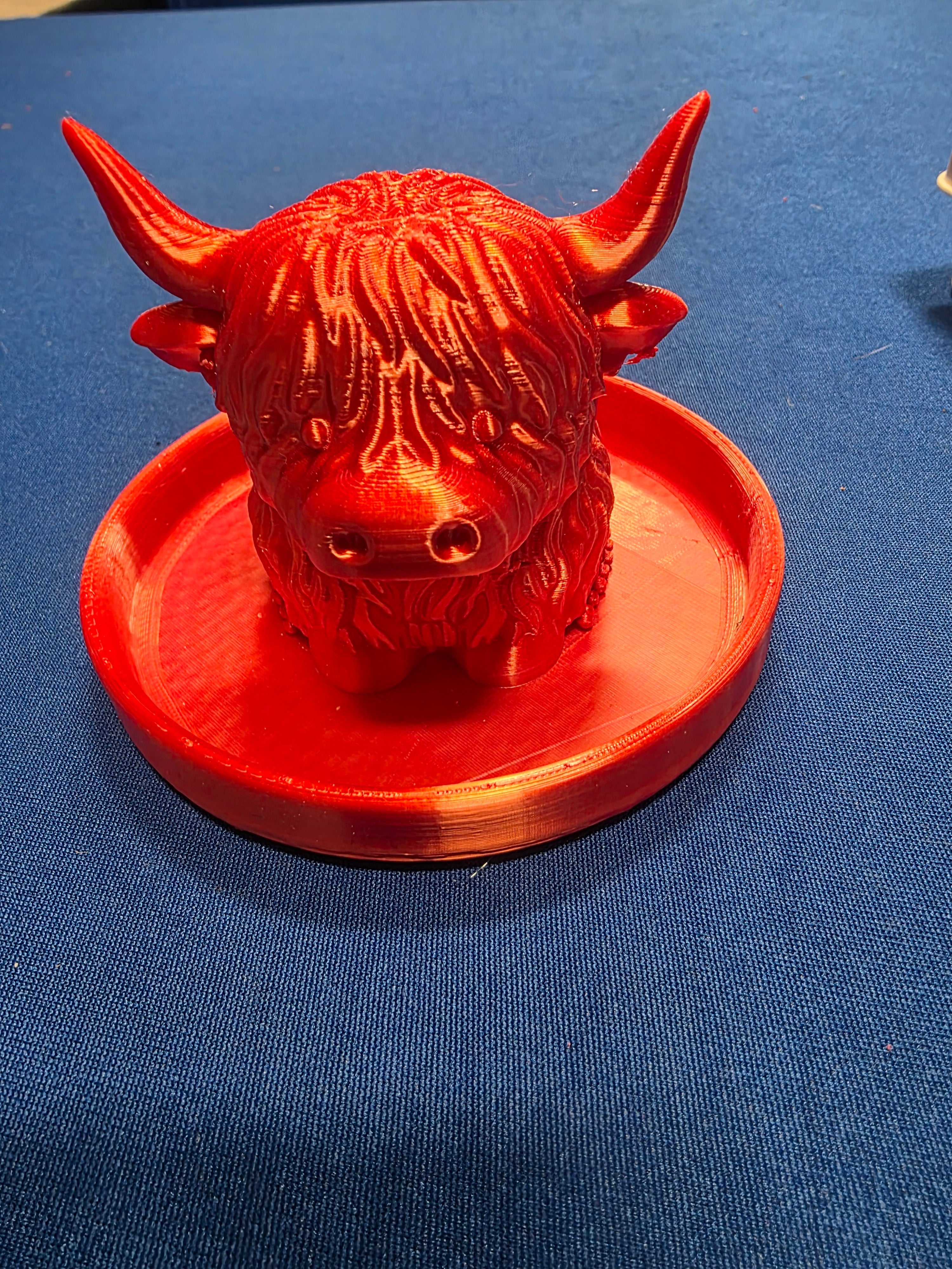 Ring Holder