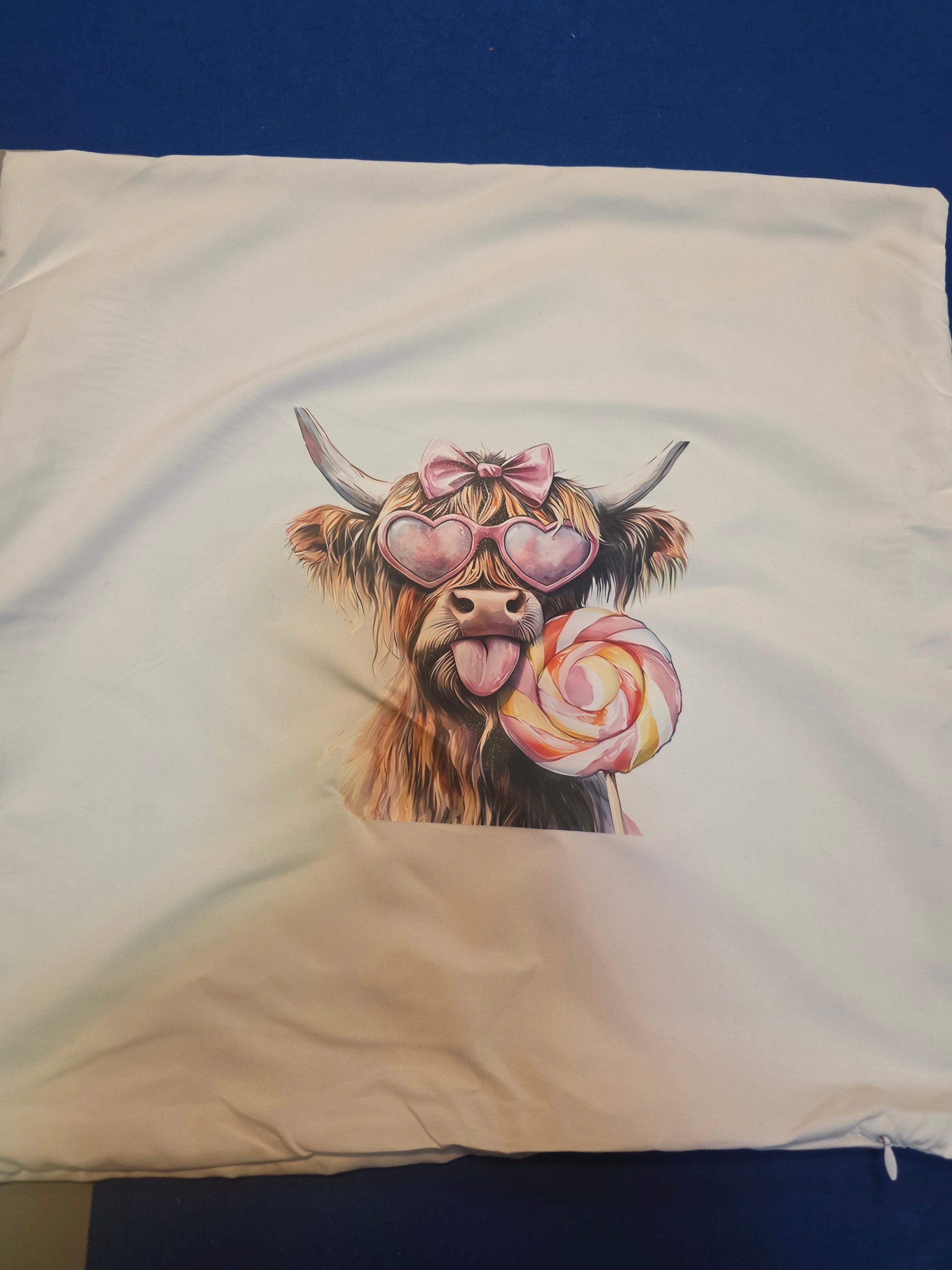 Pillow Case