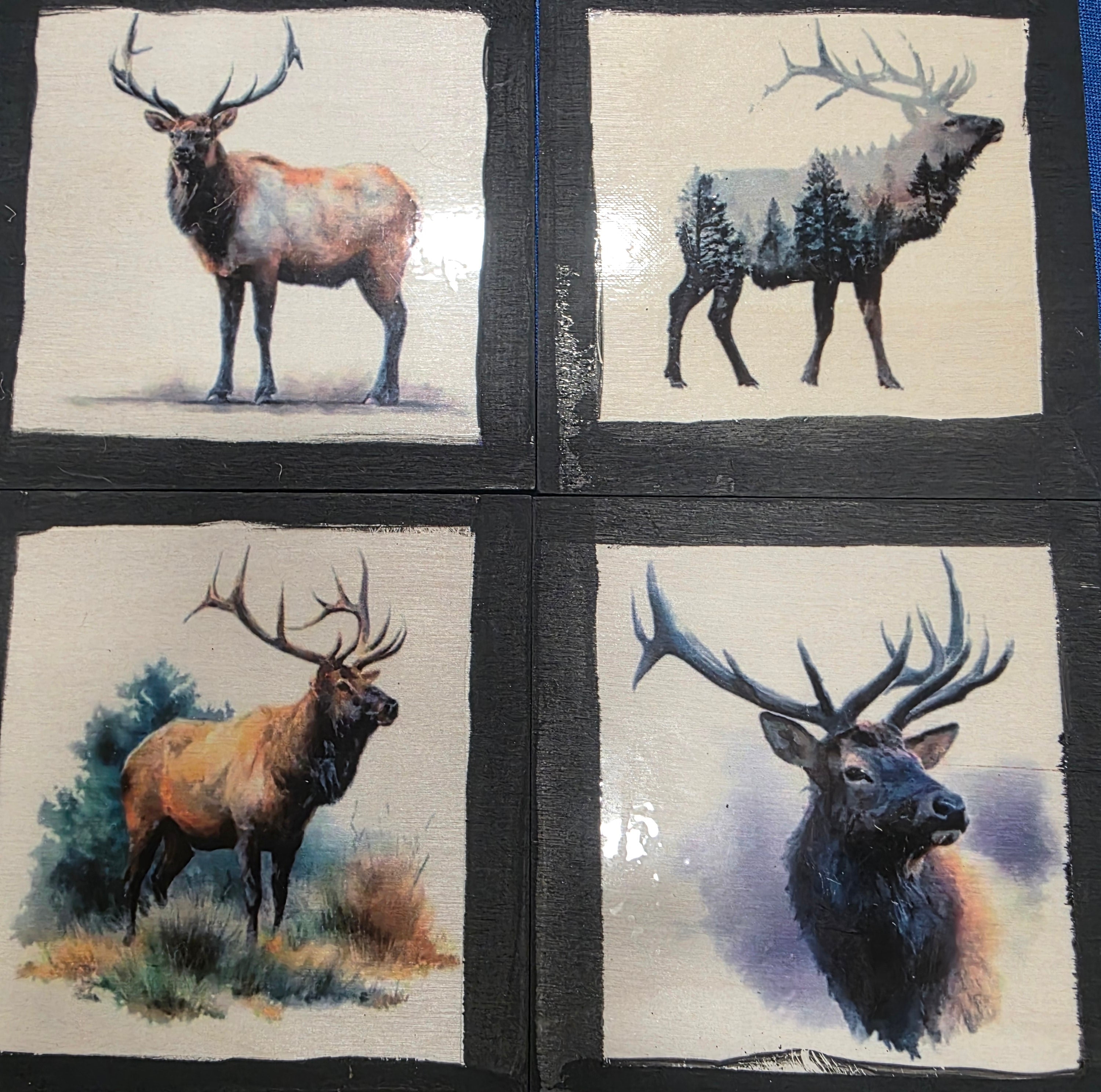 Coasters - Wood