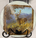 Trivet/Glass Hot Plates