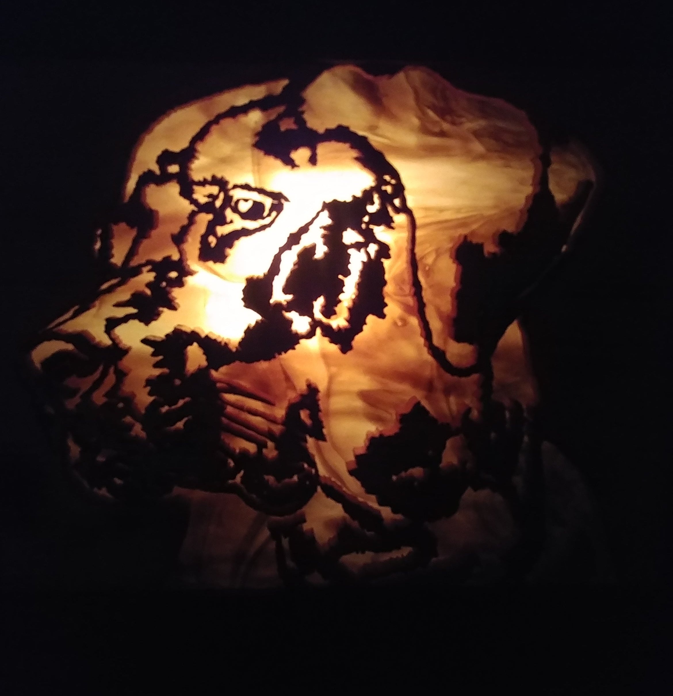 Lighted Shadow Box with scroll saw carving of a Labrador Retriever dog done by hand with a rustic wooden frame.